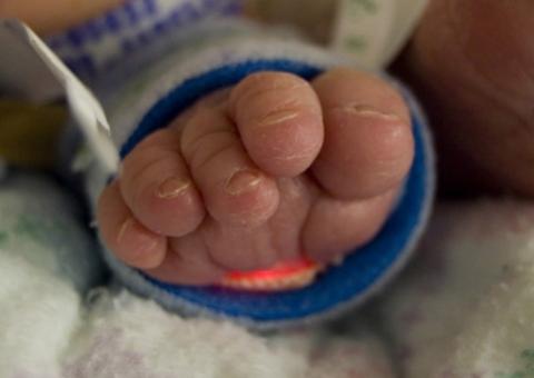 Corpos de recém-nascidos achados em um congelador